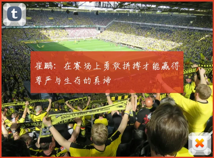 崔鹏：在赛场上勇敢拼搏才能赢得尊严与生存的真谛