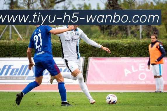 万博体育平台生态图