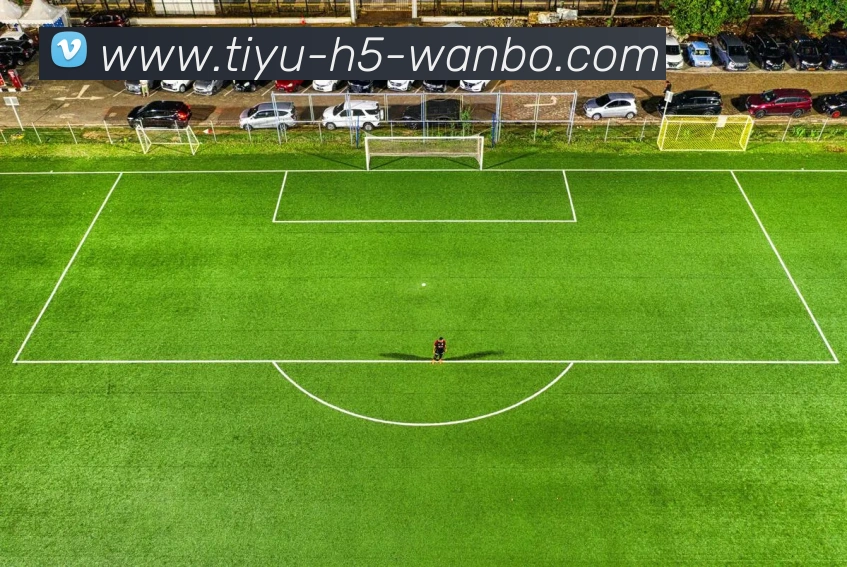 万博体育APP 封面图