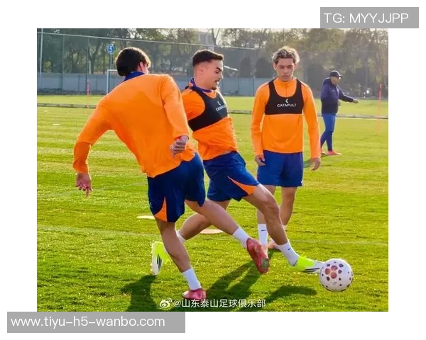 鲁媒报道泰山队定于1月3日集结并于7日南下海口开展冬训首阶段 鲁媒报道泰山队定于1月3日集结并于7日南下海口开展冬训首阶段